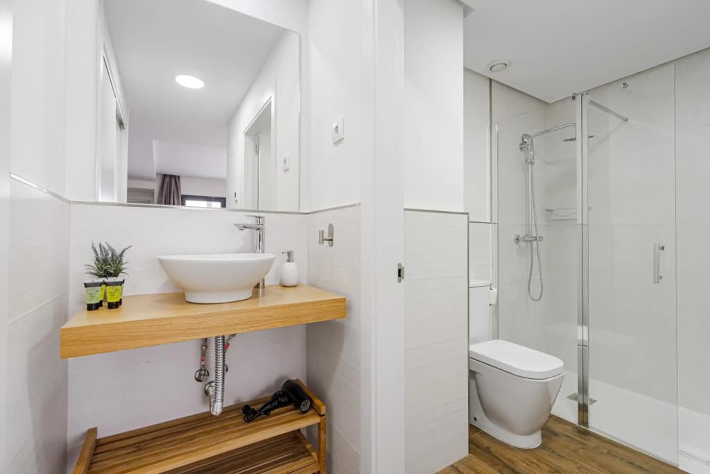 Feelathome Goya Apartments - photo 9