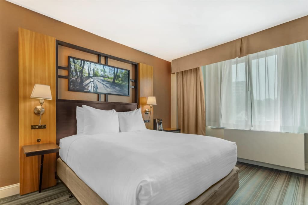 Best Western Queens Gold Coast - photo 6