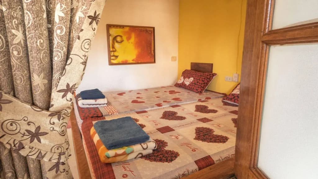 Dancing Elephant Beach Club - Hostel - photo 4