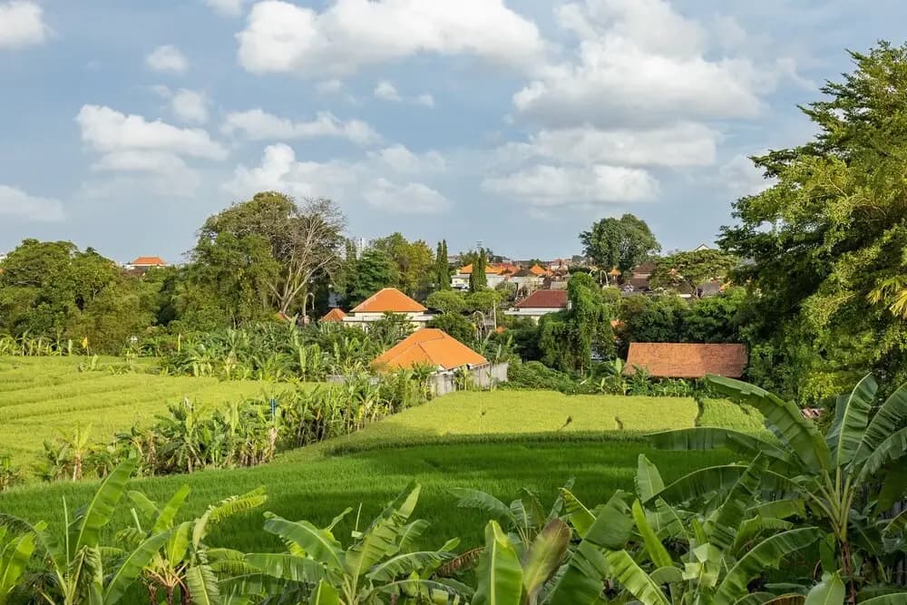 3BR Villa Kecil Canggu By Azure-Pool/Wifi - photo 13