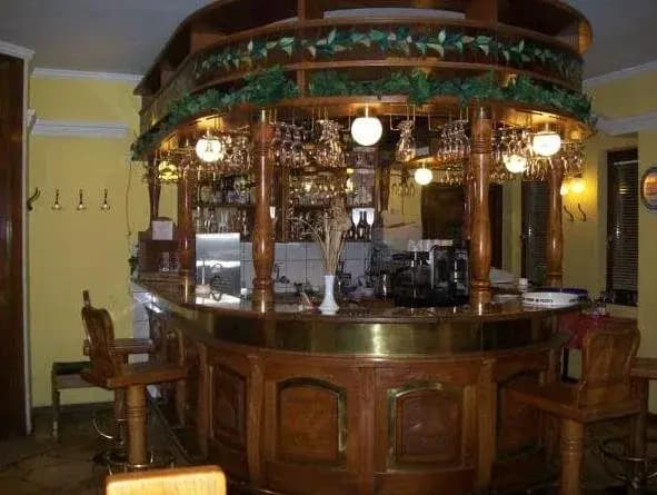 Hotel Krisztina - photo 9