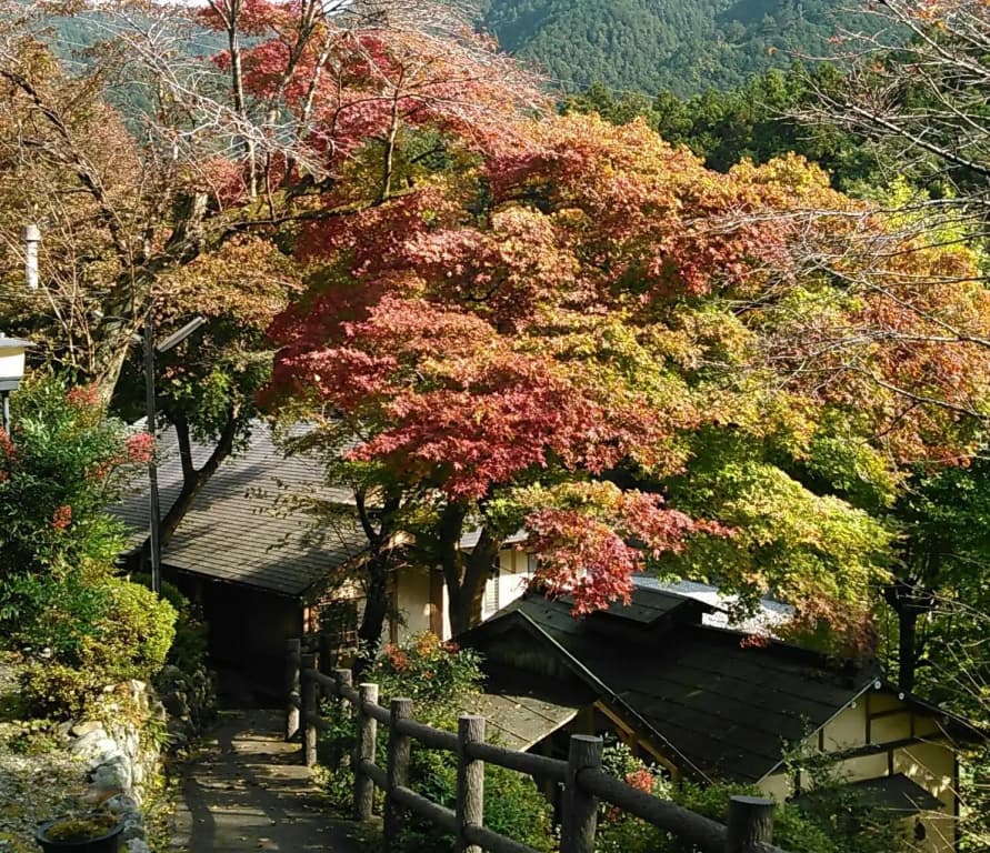 Matsuno Onsen Suikoen - photo 14