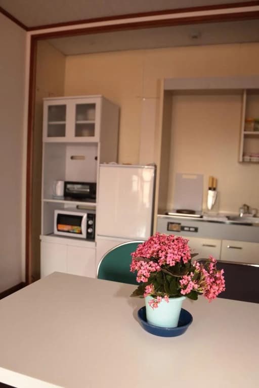 Guest House Fun Osaka - photo 13