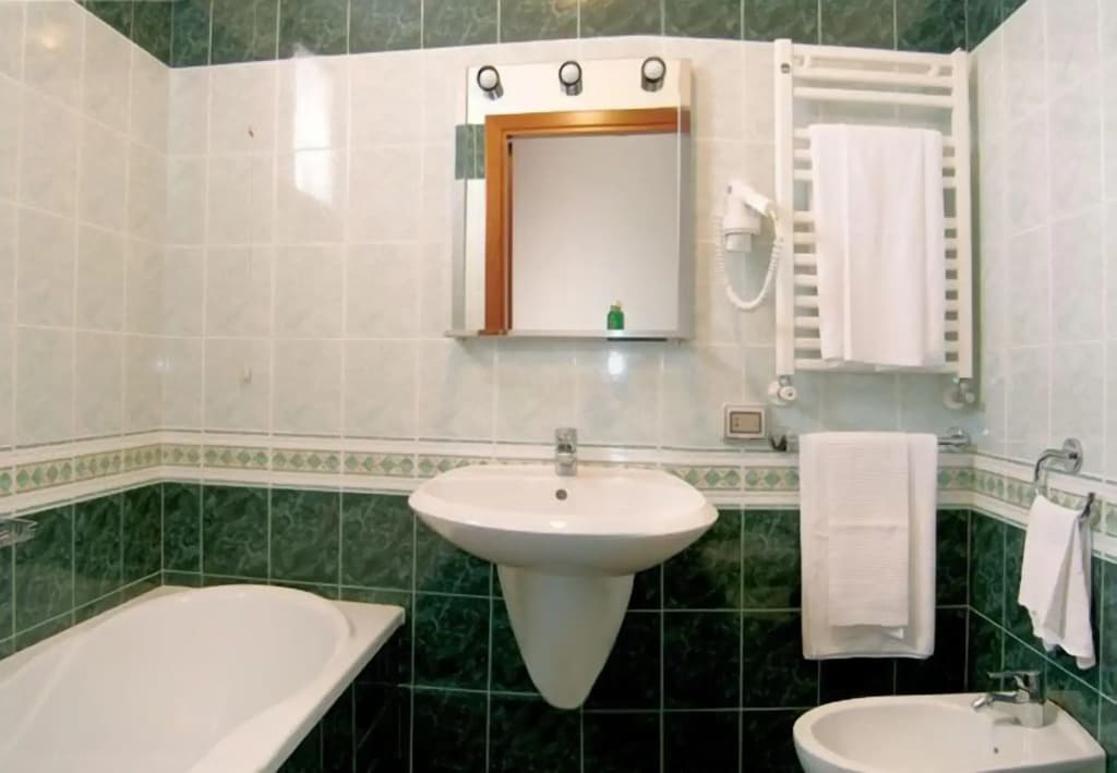 Hotel Altieri - photo 8