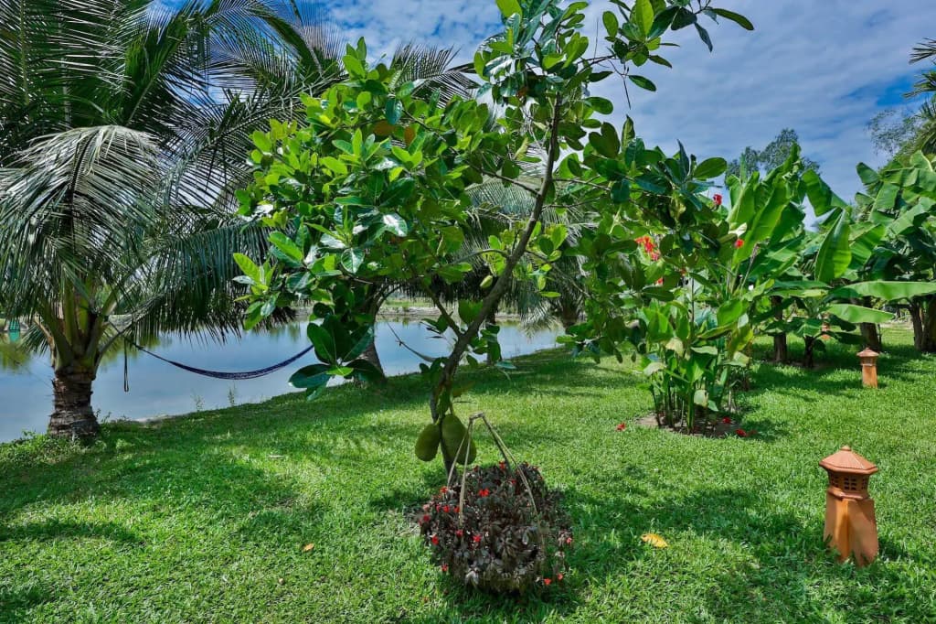 Water Coconut Boutique Villas - photo 21