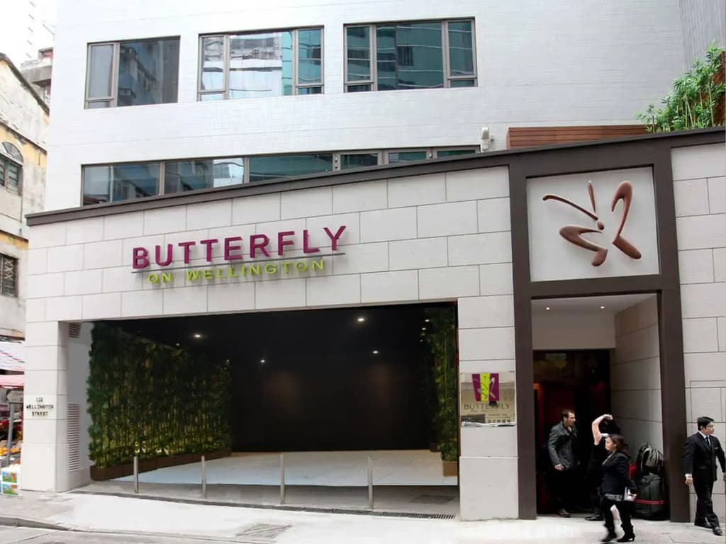 Butterfly on Wellington, Central - photo 1