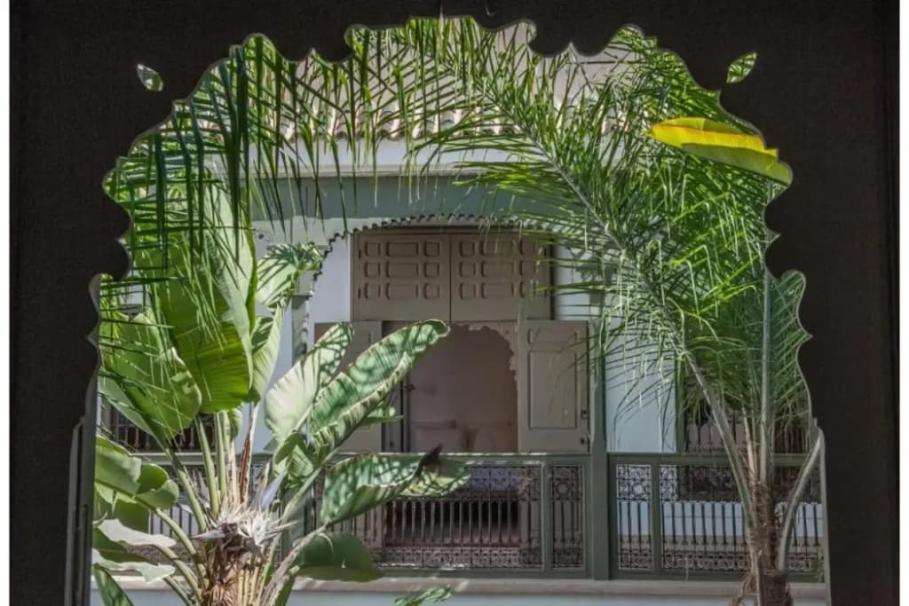 Riad Jaaneman - photo 15