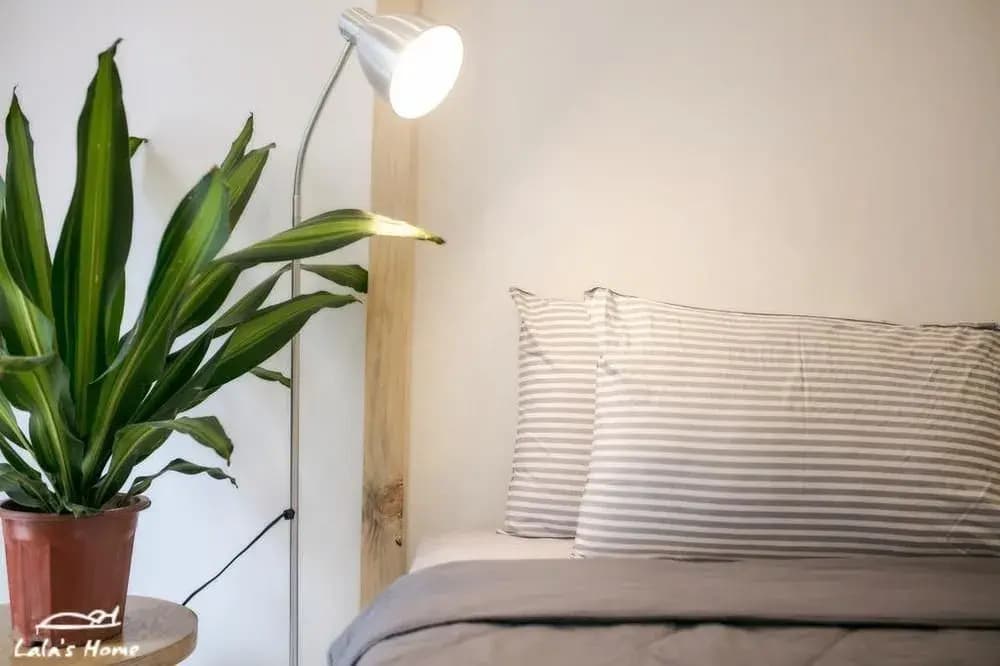 Lala's House - photo 3