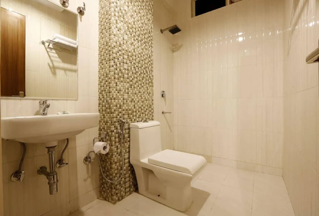 Airport Hotel Chanakya - photo 8