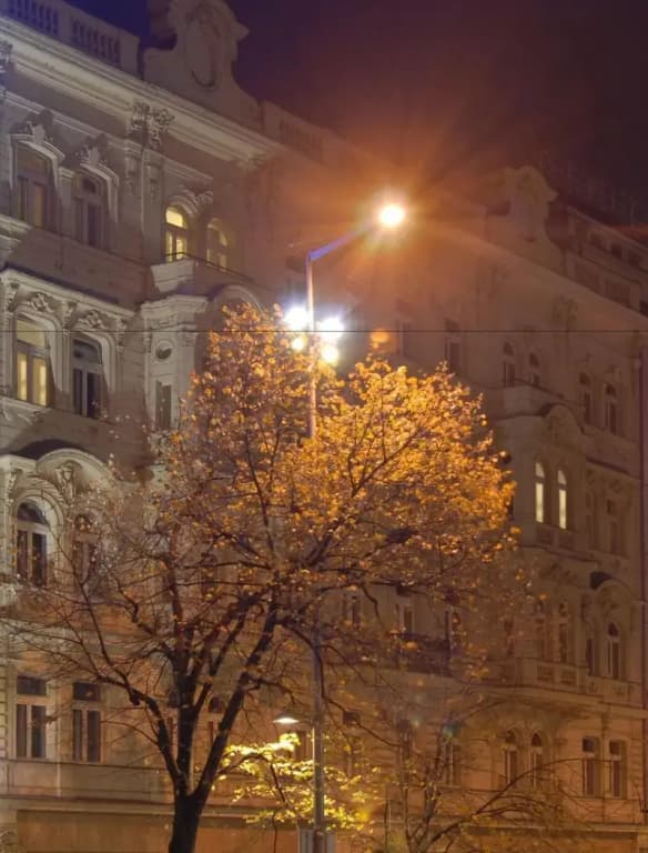 Hapimag Resort Prague - photo 22
