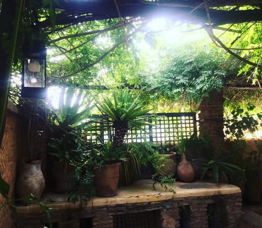 Riad Tibibt - photo 26