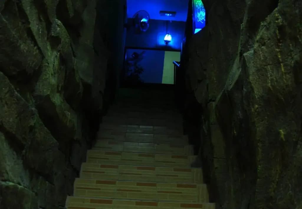 Havana Guest House - photo 8