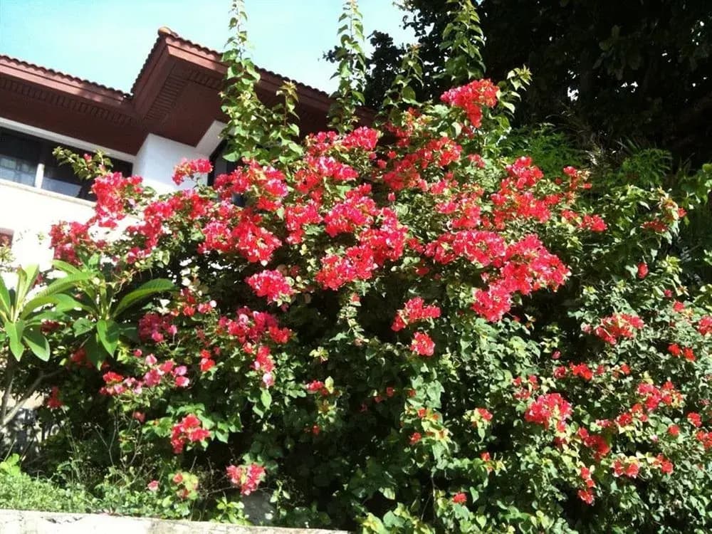 Baan Rajdamnern Huahin - photo 27
