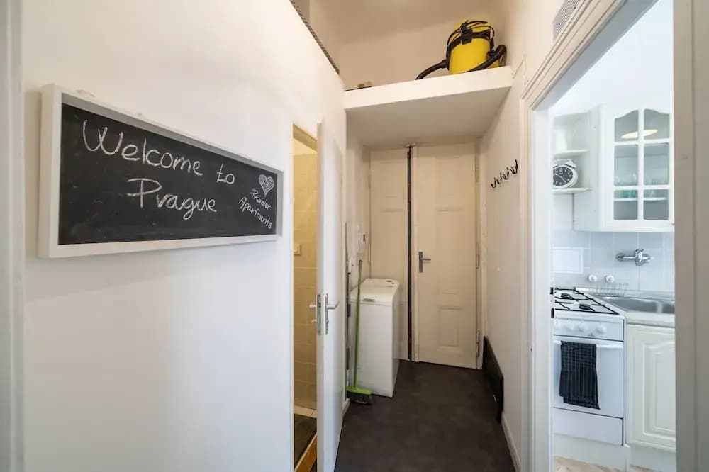 Premier Apartment Vodickova - photo 15