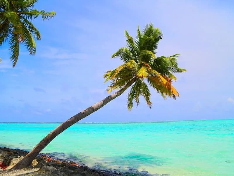 Riveli Retreat at Mathiveri Maldives - photo 25
