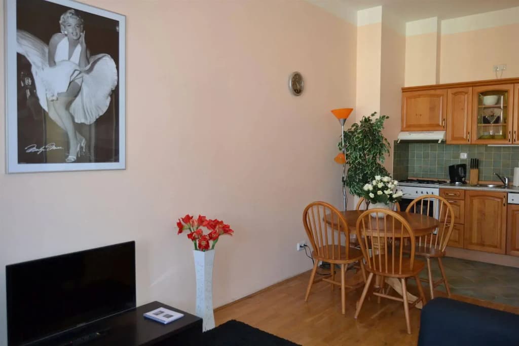 Melantrich Apartments - photo 14