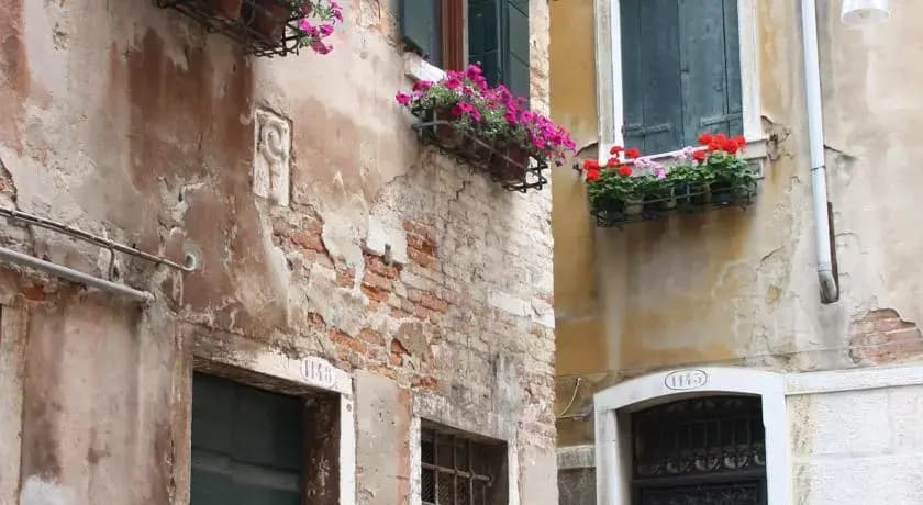 Viva Venezia - main photo