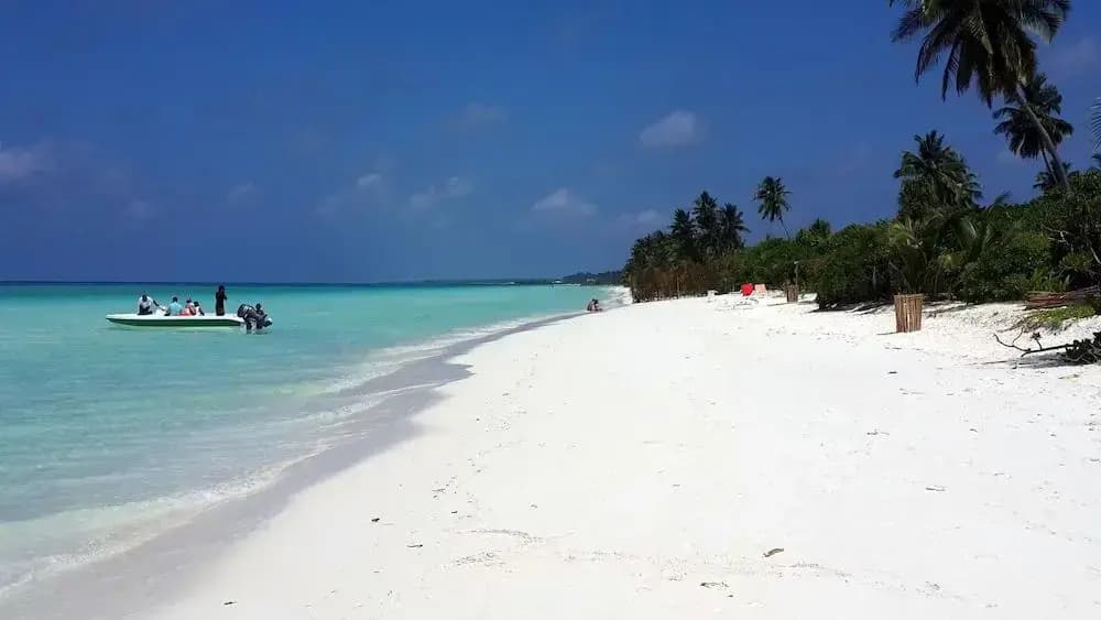 Amra Palace Laamu - photo 17