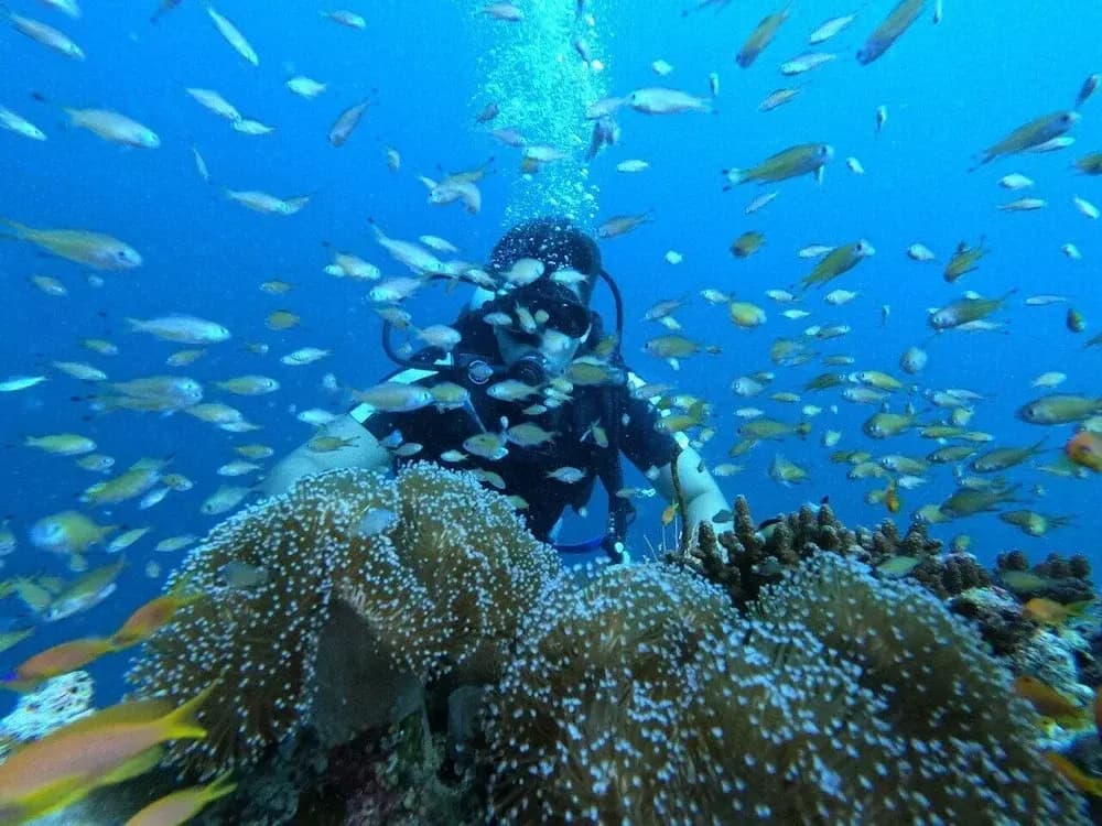 Ruka Maldives - photo 21