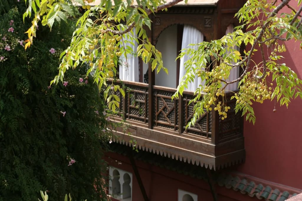 Riad Kaiss by Anika - main photo