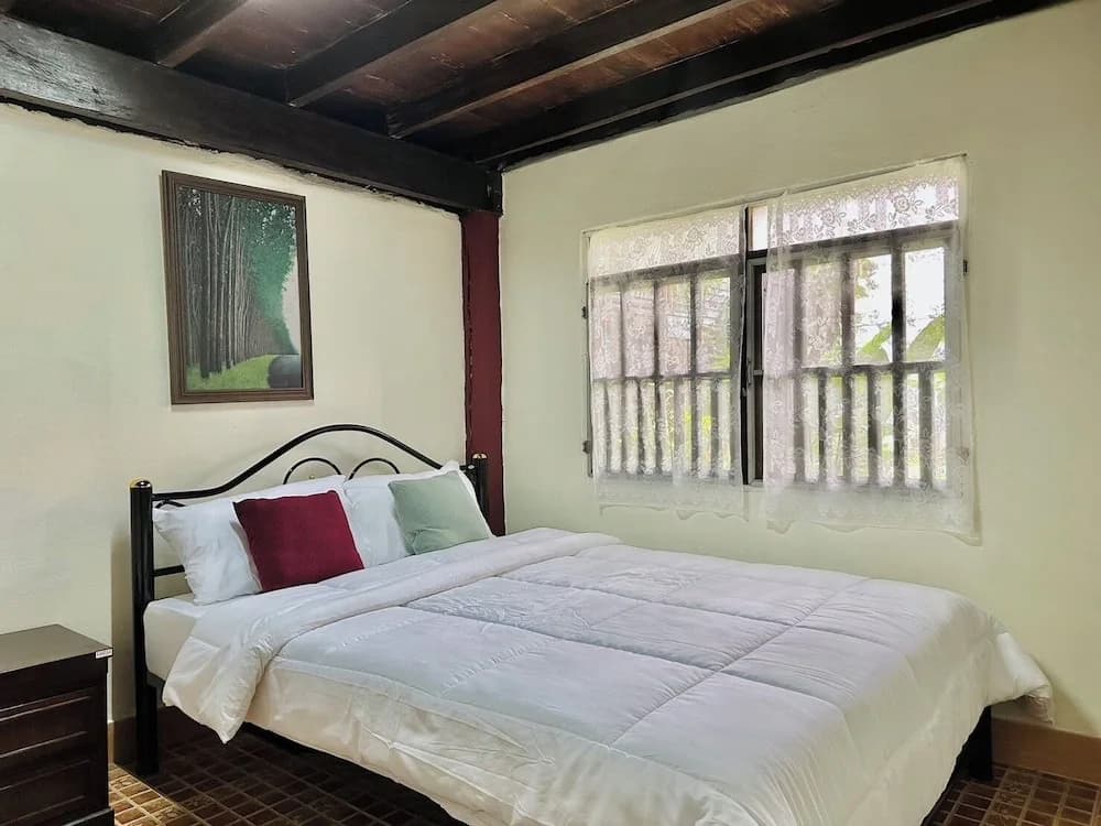 Cozy nest CNX - photo 5