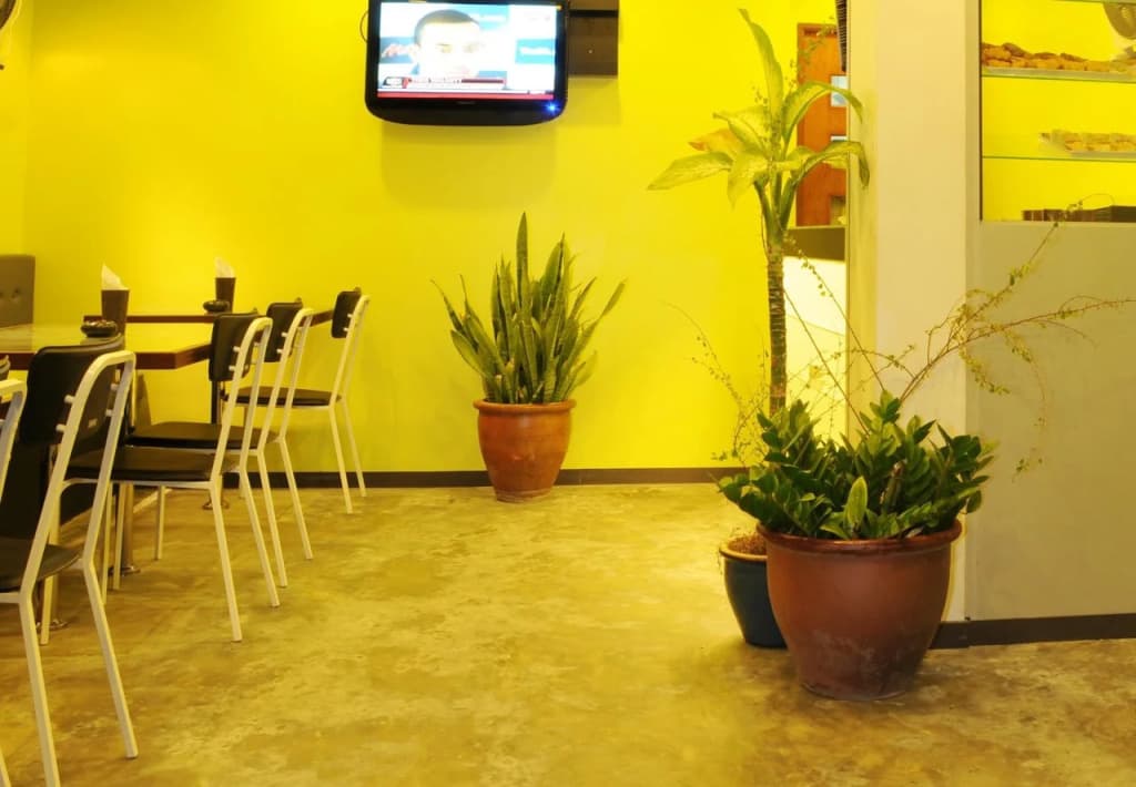 Lvis Boutique Hotel - photo 18