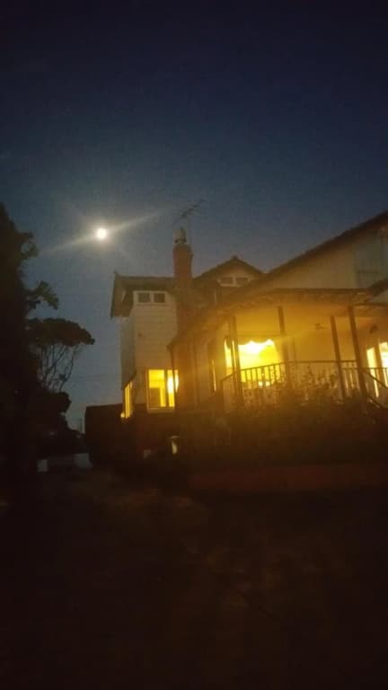 Mornington Bed and Breakfast - photo 1