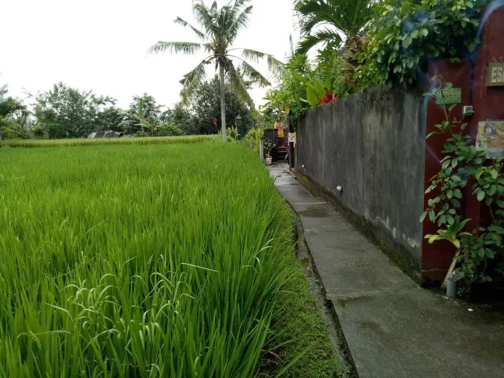 Villa Esa Ubud - photo 20