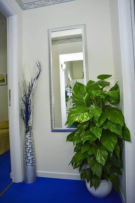 Kambal B&B - photo 11