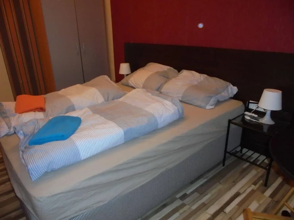 Liechtenstein Apartments - photo 5