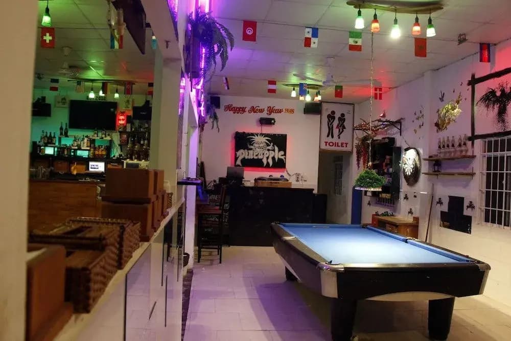Pineapple Hotel - photo 7