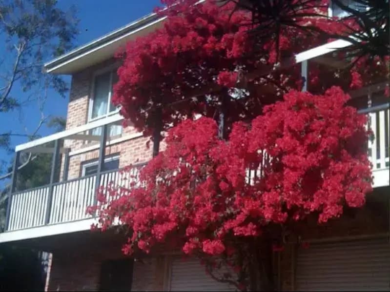 Linley House Bed & Breakfast - photo 1