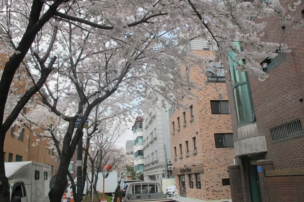 ROI House Hongdae - photo 1