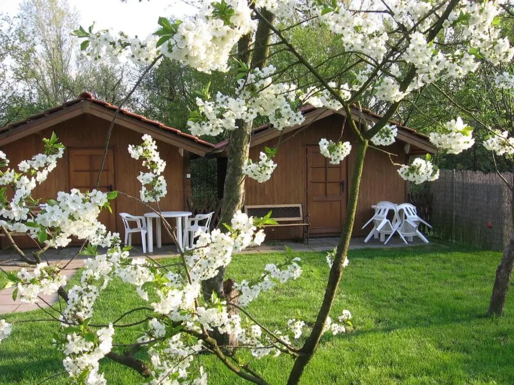 Pension Trojská - photo 10