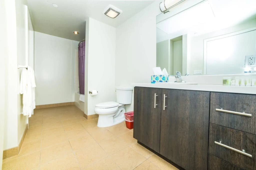Downtown LA Live Suites - photo 8