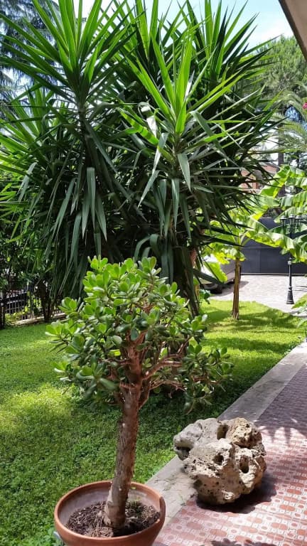 Il Giardino di Giulia 2 - photo 21