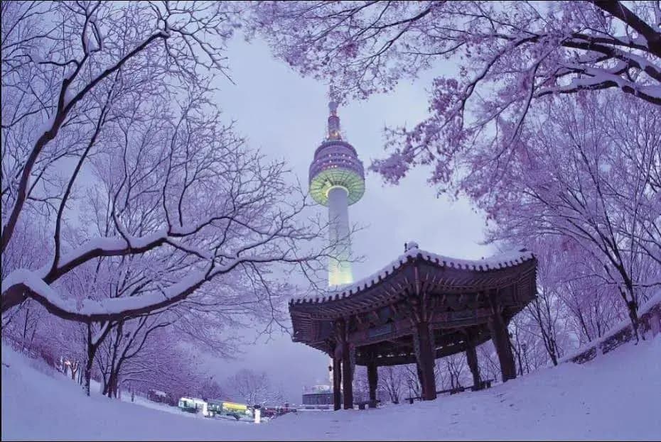 Gom Guesthouse Myeongdong - photo 15