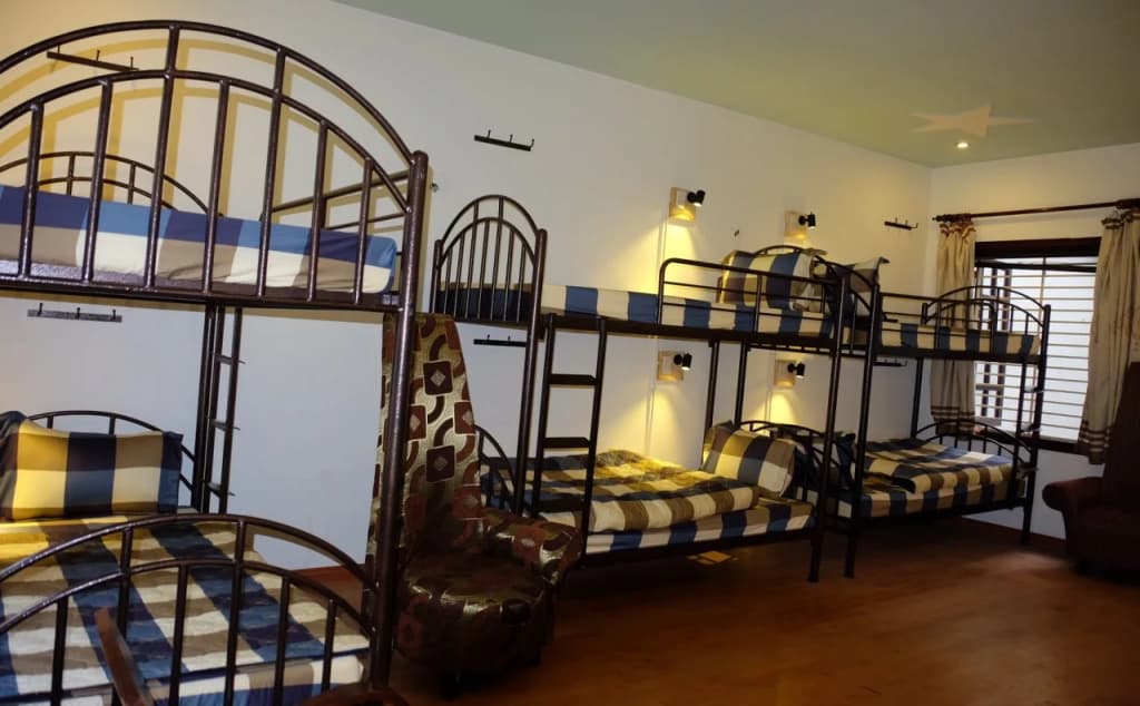 Cheetah Hostel - photo 4