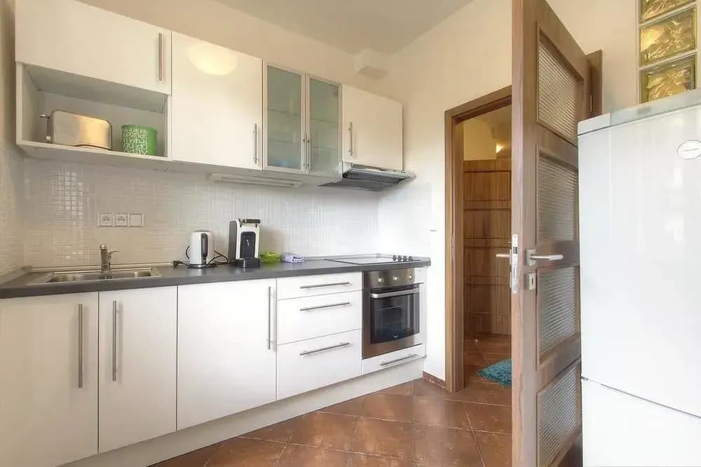 Centrum Apartments Podoli - photo 13