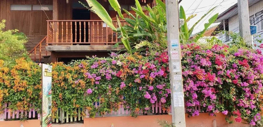 Siriwan House - photo 32