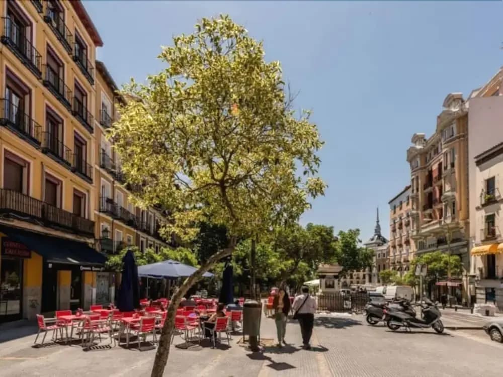 Cozy Apartment Plaza Mayor - photo 10