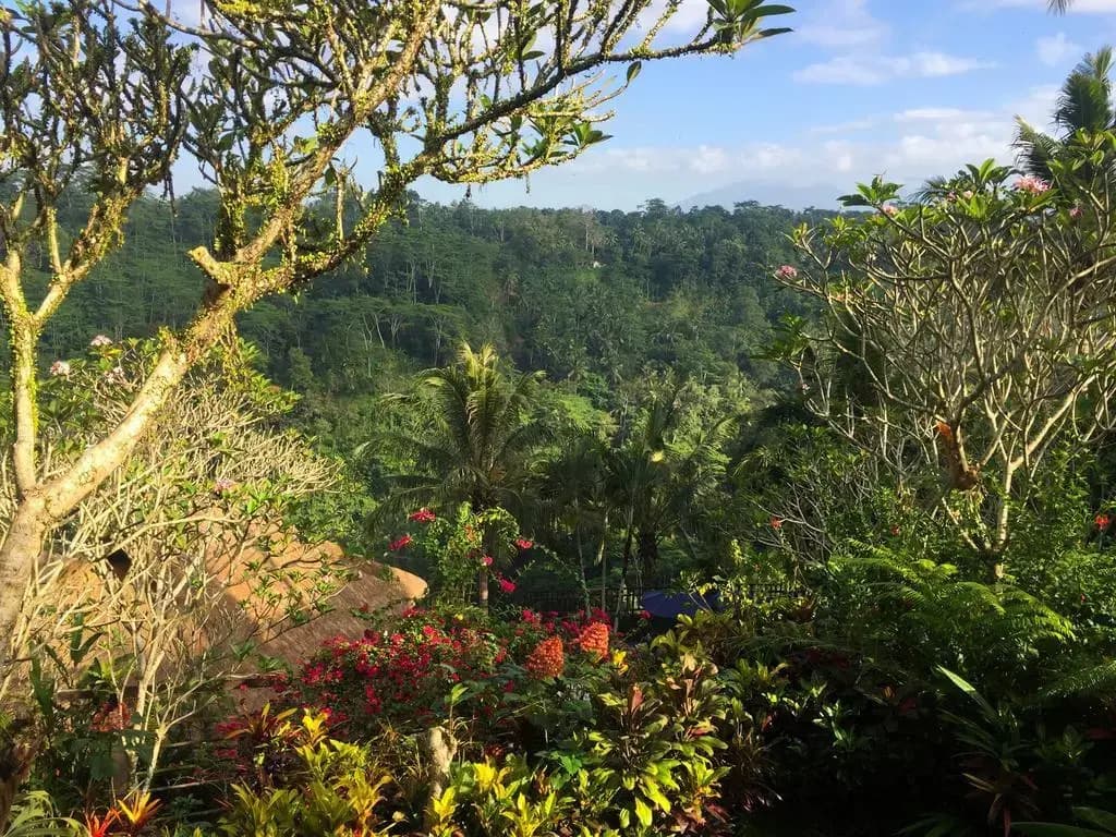 Villa Indah Ubud - main photo