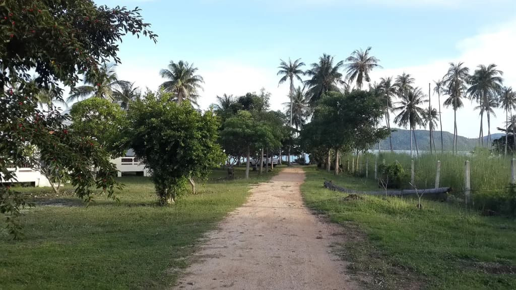 Jinta Beach Bungalow - photo 15