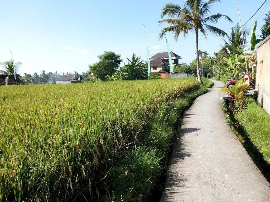 Jagi Villa - photo 17