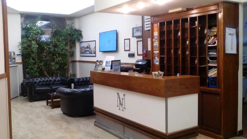 Hotel Minerva - photo 2