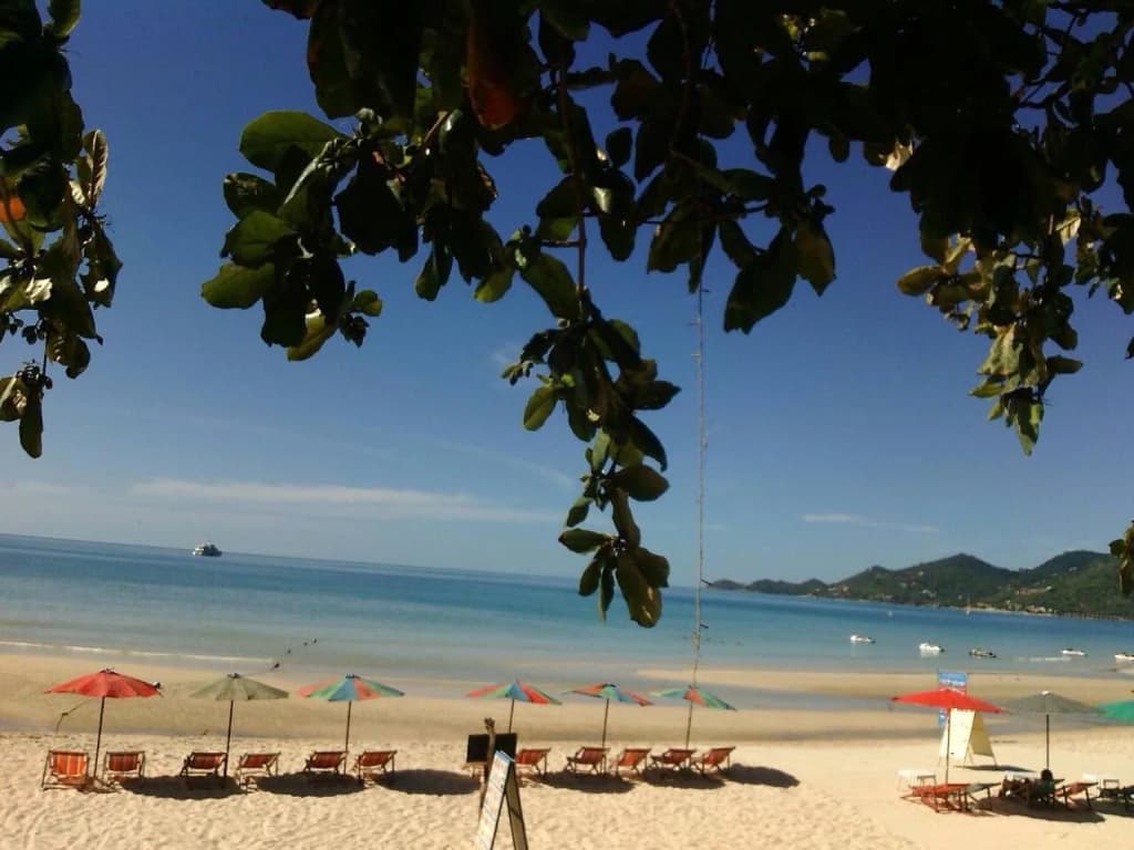 B2 @ Samui Beach Resort - photo 12