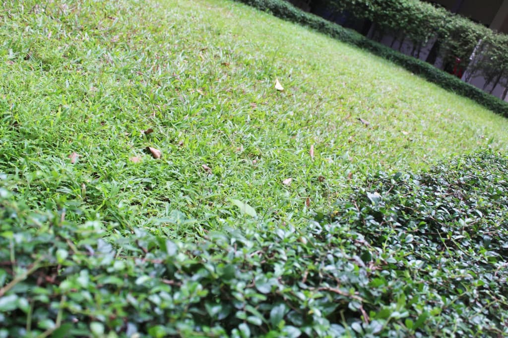 Angkor Riviera Hotel - photo 32