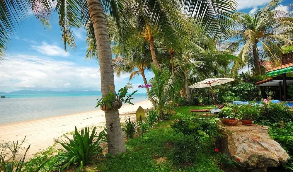 Coconut Laguna Villas - photo 12
