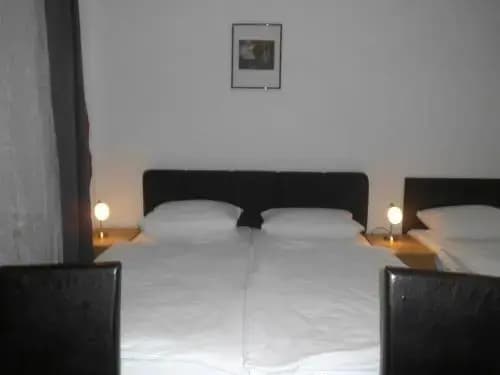 Hotel-Pension Dorma - photo 5