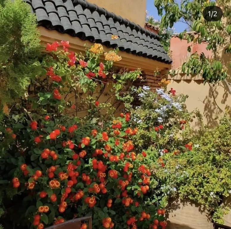 Riad Zouhour - photo 27
